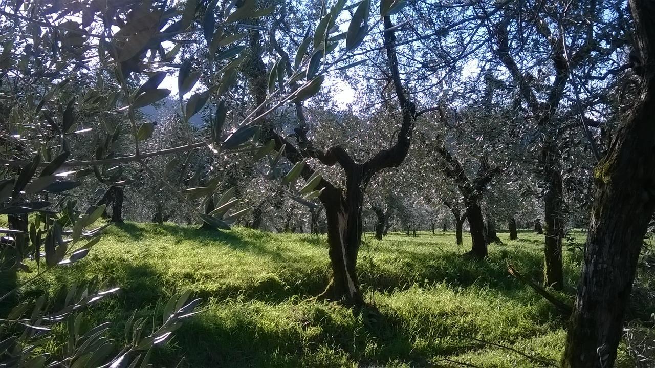 Villa Pacinotti Пистойя Экстерьер фото