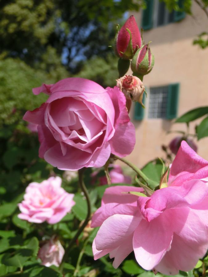 Villa Pacinotti Пистойя Экстерьер фото
